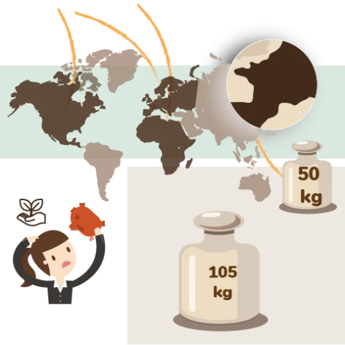 carte du monde et masses représentant le gaspillage alimentaire dans le monde