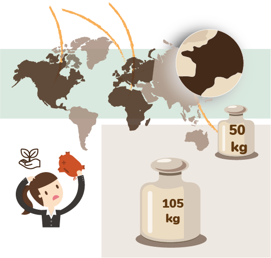 carte du monde et masses représentant le gaspillage alimentaire dans le monde