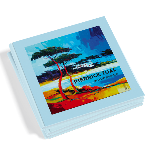 couverture de la brochure de l'artiste Pierrick Tual
