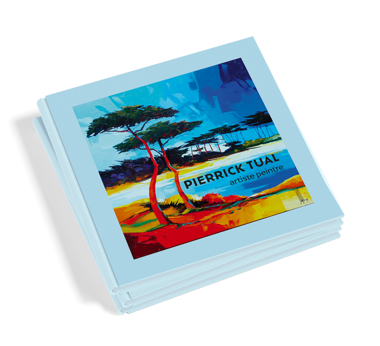 couverture de la brochure de l'artiste Pierrick Tual