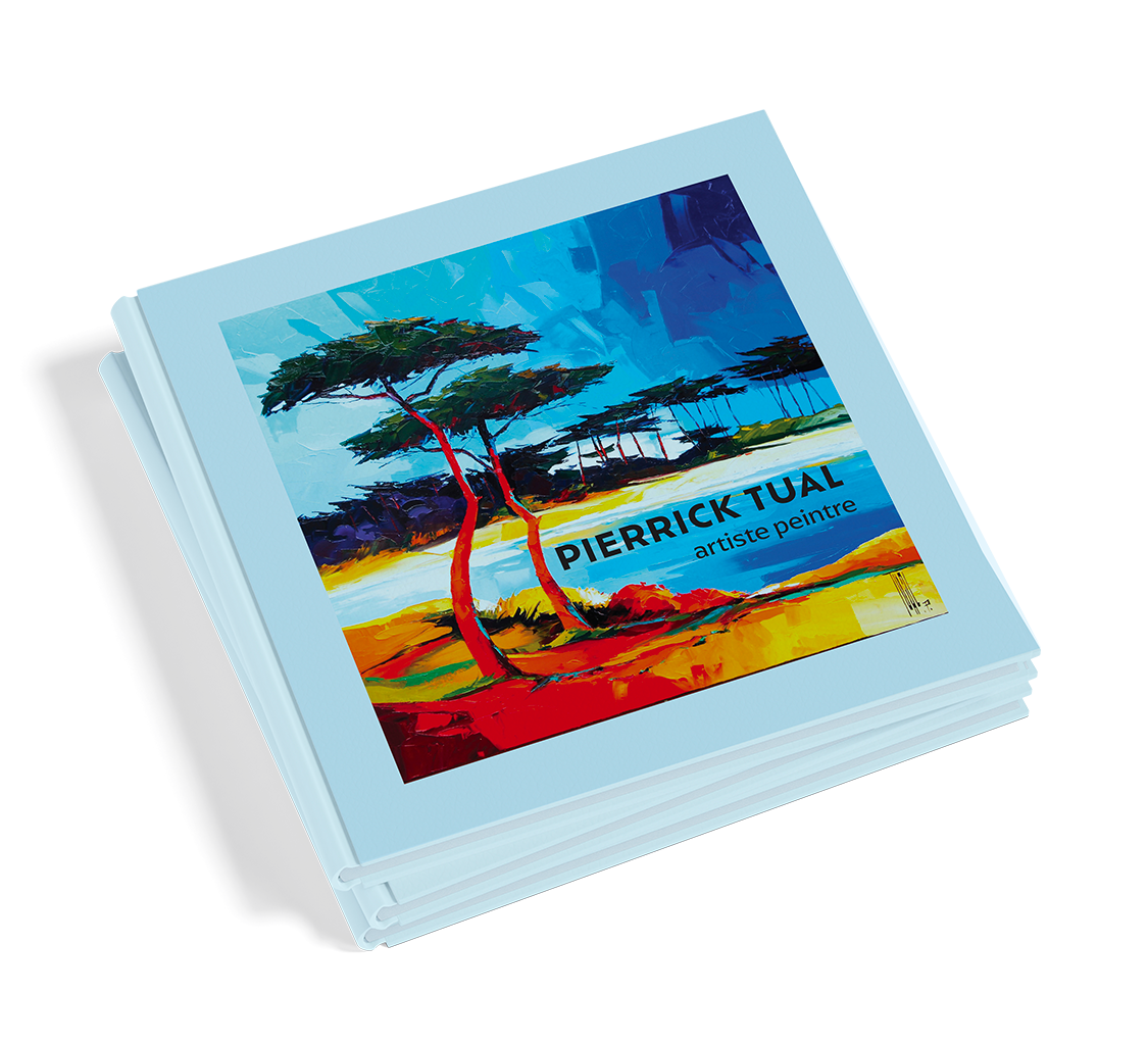 couverture de la brochure de l'artiste Pierrick Tual