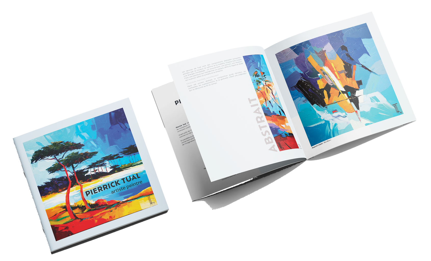 couverture et intérieur de la brochure de l'artiste Pierrick Tual